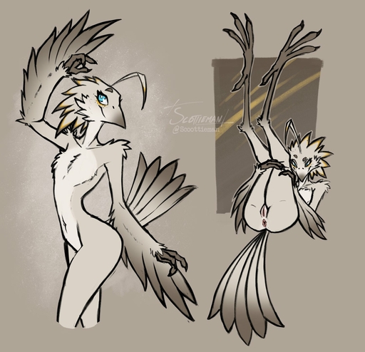 2022 anthro anus avian beak bird blue_eyes feathers female flat_chested genitals grey_body grey_feathers hi_res holding_legs legs_up long_legs lying lyra_(w4g4) nude nude_anthro nude_female on_back potoo presenting presenting_pussy pussy scottieman solo standing tail_feathers talons // 1500x1448 // 228.6KB
