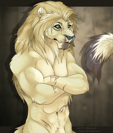 anthro compass_(artist) crossed_arms felid fur hair half-length_portrait lion looking_at_viewer male mammal muscular muscular_anthro muscular_male nude pantherine portrait scar solo standing // 851x1000 // 1001.7KB