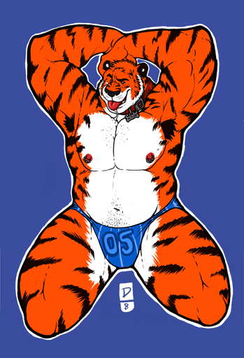 anthro armpit_hair biped body_hair clothed clothing collar dramamine felid front_view hairy kneeling looking_at_viewer male mammal musclegut muscular muscular_anthro muscular_male pantherine skimpy slightly_chubby solo speedo stripes swimwear tiger topless underwear // 800x1172 // 397.9KB