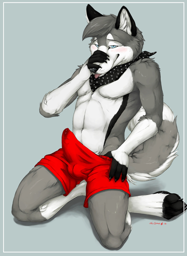 2012 4_toes abs anthro athletic balls bandanna biceps biped black_nose blue_eyes blush bodily_fluids boxers_(clothing) bulge canid canine canis clothed clothing digitigrade domestic_dog embarrassed erection erection_under_clothing feet fur genital_fluids genitals grey_body grey_fur hindpaw husky kerchief kneeling kodipup leaking looking_at_viewer male mammal muscular muscular_anthro nordic_sled_dog paws pecs penis pose precum precum_through_clothing shy solo spitz toes tongue tongue_out topless truegrave9 underwear wet wet_clothing white_body white_fur // 700x958 // 293.4KB