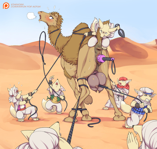 2019 absurd_res animal_genitalia animal_pussy anthro anus big_teats blush bound breath buttplug calira_(mcfan) camel camelid camelid_pussy canid canine captured clothed clothing desert dildo etheross female fennec feral forced fox genitals group hi_res larger_female lasso male mammal open_mouth outside plug_(sex_toy) pussy rape sex_toy shemagh size_difference smaller_male teats udders vaginal vulpes // 6071x5769 // 11.7MB