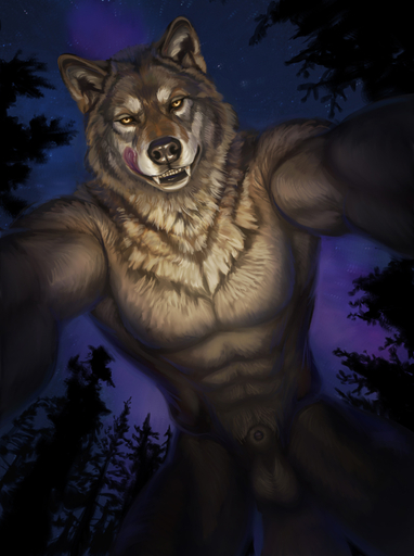 abs all_fours animal_genitalia anthro bedroom_eyes biceps big_muscles black_lips black_nose brown_nose canid canine canis fangs forest forest_background front_view fur genitals grey_body grey_fur hibbary licking licking_lips lips looking_at_viewer looking_down low-angle_view male mammal muscular muscular_male narrowed_eyes nature nature_background neck_tuft night night_sky nude outside pecs penis penis_tip plant pubes seductive sheath smile solo tongue tongue_out tree tuft were werecanid werecanine werewolf wolf worm's-eye_view yellow_eyes // 671x900 // 617.8KB