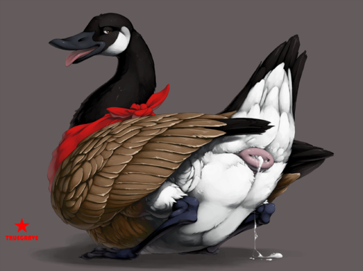 2020 ambiguous_gender anatid animal_genitalia anseriform anserinae avian bird black_body black_fur bodily_fluids brown_eyes canada_goose cloaca clothing cum cum_leaking feathered_wings feathers feral fur genital_fluids genitals goose grey_background handkerchief hi_res inviting kerchief looking_back presenting seductive simple_background solo tail_feathers tongue tongue_out truegrave9 white_body white_fur wings // 2400x1792 // 1.9MB