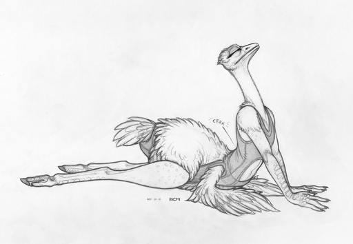 2016 anthro avian avian_taur bird bird_feet bird_taur clothing ecmajor eyes_closed feathered_wings feathers female greyscale leotard long_neck lying monochrome on_front ostrich ratite simple_background solo stretching tail_feathers taur tight_clothing white_background wings // 1371x949 // 965.4KB