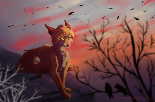 black_nose blonde_hair canid canine day detailed detailed_background female feral fluffy fox fur hair hindpaw mammal outside paws quadruped sky solo standing tan_body tan_fur tril-mizzrim whiskers yellow_eyes // 1324x875 // 988.9KB