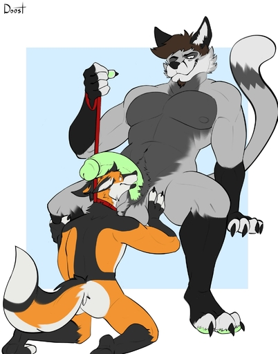 anthro ball_tuft balls canid canine collar doost duo fox genitals hi_res kneeling leash male malemale mammal nude penis pubes size_difference tuft // 1609x2048 // 199.6KB