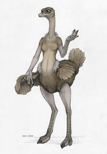 2013 anthro avian beak bird breasts ecmajor feathered_wings feathers female non-mammal_breasts nude ostrich ratite solo wings // 679x977 // 297.3KB