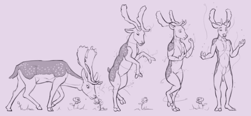 anthro antlers biped cervid cervine cloven_hooves fallow_deer feral feral_to_anthro flower fur hi_res hooves horn lord_magicpants male mammal monochrome nude plant sequence solo standing transformation // 2594x1200 // 269.7KB