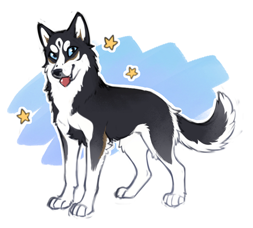 2019 ambiguous_gender black_body black_fur black_nose blue_eyes canid canine canis digital_media_(artwork) domestic_dog feral fur hioshiru husky mammal nordic_sled_dog quadruped simple_background solo spitz standing // 939x845 // 580KB