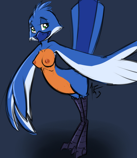 2013 anthro avian bird blue_body blue_feathers breasts feathered_wings feathers female nipples non-mammal_breasts nude siroc solo wings // 780x900 // 308KB