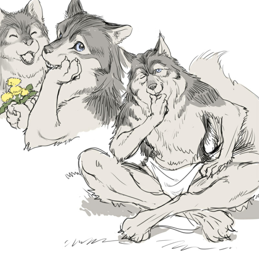 1:1 ambiguous_gender anthro barefoot biped blue_eyes bottomwear canid canine canis claws clothed clothing crossed_legs dandelion digital_media_(artwork) feet flower holding_flower holding_object kikurage loincloth mammal plant simple_background sitting sketch solo topless white_background wolf // 800x800 // 187.2KB