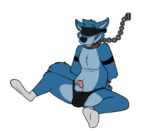 3_toes anthro arm_markings arm_tuft bdsm biped black_markings black_nose blindfold blue_body blue_fur blue_hair blue_tail bondage bound bulge canid canine canis chain chain_leash chained cheek_tuft chest_tuft cloth_gag clothed clothing collar countershade_face countershade_torso countershading digital_media_(artwork) elbow_tufts erection eyebrow_piercing eyebrows facial_piercing facial_tuft feet flat_colors footwear front_view fur gag gagged genitals glans hair hands_behind_back hands_tied head_tuft humanoid_genitalia humanoid_penis leash legwear male mammal markings multicolored_body multicolored_fur partially_clothed penis piercing pink_penis poking_out robbie_(rotten_robbie) rotten_robbie shoulder_tuft simple_background sitting socks solo spread_legs spreading submissive submissive_male toes tuft two_tone_body two_tone_fur underwear white_background wolf // 1218x1023 // 204.2KB