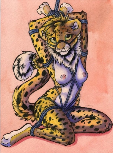 anthro bdsm biped bondage bound breasts cheetah felid feline female looking_at_viewer mammal nipples nude rope rope_bondage ruaidri sitting solo submissive submissive_female // 625x842 // 127KB