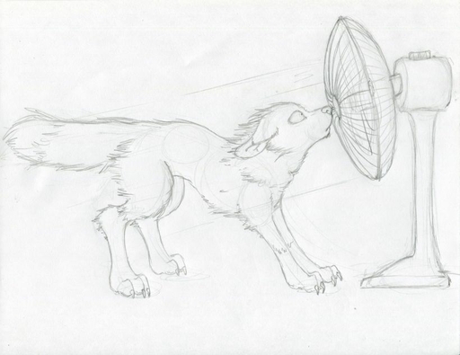 2012 ambiguous_gender canid canine feral fox graphite_(artwork) greyscale mammal mechanical_fan monochrome pencil_(artwork) rotary_fan ruaidri side_view sketch solo traditional_media_(artwork) // 820x632 // 45.9KB