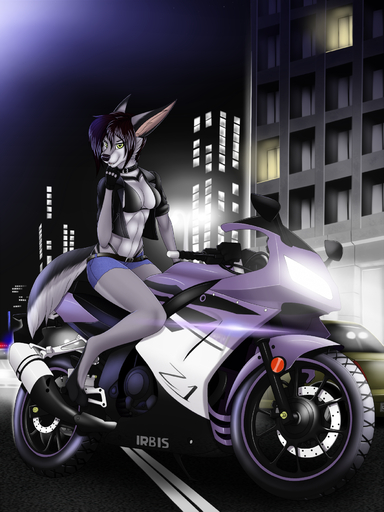 3:4 anthro barefoot bra breasts canid canine city clothed clothing detailed_background digitigrade feet female hair hi_res mammal midriff navel night purple_hair smile tales_foxdale underwear yellow_eyes // 1350x1800 // 1.7MB