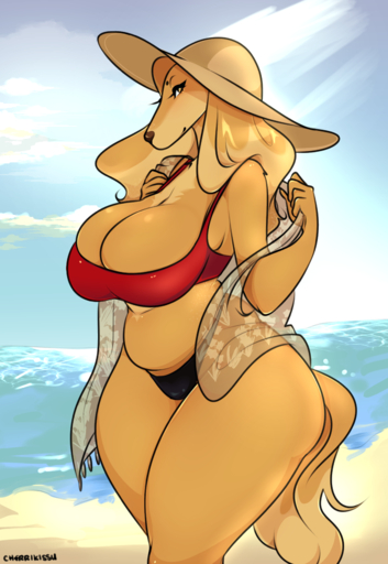 2017 anthro beach big_breasts breasts canid canine canis cherrikissu cleavage cleavage_overflow clothed clothing curvy_figure detailed_background digital_media_(artwork) domestic_dog female fur hair half-closed_eyes hat headgear headwear hi_res hunting_dog long_hair looking_at_viewer mabel_(cherrikissu) mammal mature_anthro mature_female narrowed_eyes outside saluki sand sea seaside side_view sighthound sky solo thick_thighs tight_clothing voluptuous water wide_hips // 1182x1712 // 1.2MB