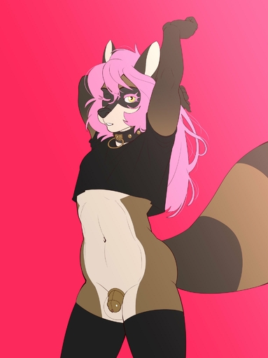 2021 anthro biped black_clothing black_collar black_nose black_shirt black_topwear brown_chastity_cage chastity_cage chastity_device clothed clothing collar genitals girly hair hi_res lindelon male mammal markings navel nonbinary_(lore) partially_clothed penis pink_hair procyonid raccoon red_background shirt simple_background standing striped_markings striped_tail stripes studded_collar tail_markings topwear // 1532x2048 // 128.2KB
