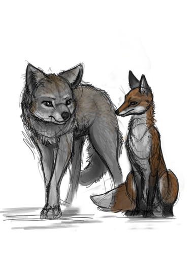 2015 3:4 ambiguous_gender canid canine canis duo feral fox fur grey_body grey_fur ipoke mammal wolf // 480x640 // 118KB