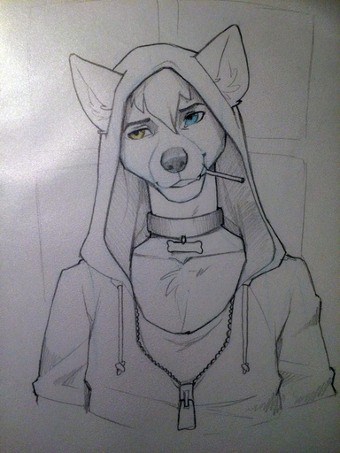 2015 3:4 ambiguous_gender anthro black_nose blue_eyes bone candy canid canine canis chest_tuft clothed clothing collar dessert eyebrows food fur hair heterochromia hoodie inner_ear_fluff lollipop looking_away mammal simple_background sketch solo topwear traditional_media_(artwork) tuft wolf wolfy-nail zipper // 750x1000 // 311.2KB