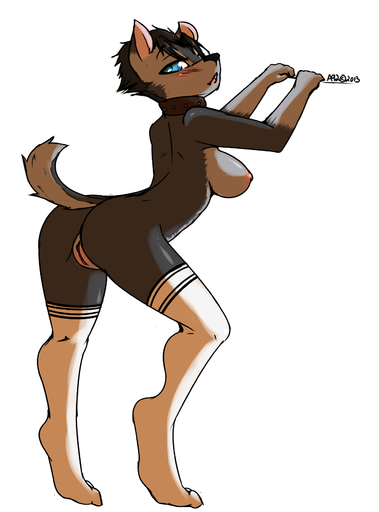 anthro avante92 breasts butt canid canine canis clothing domestic_dog female genitals hi_res legwear looking_at_viewer mammal nude pose presenting presenting_hindquarters pussy solo stockings // 1280x1728 // 448KB