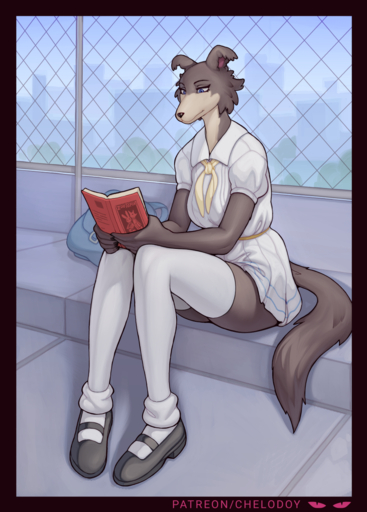 anthro book brown_body brown_fur canid canine canis chelodoy clothing detailed_background female footwear fur glistening glistening_clothing hi_res juno_(beastars) legwear mammal reading shoes sitting solo stockings wolf // 875x1222 // 909.6KB