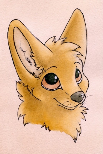 2013 ambiguous_gender anthro canid canine fennec feral fox fur mammal orange_body orange_fur ruaidri solo vulpes // 538x800 // 84KB