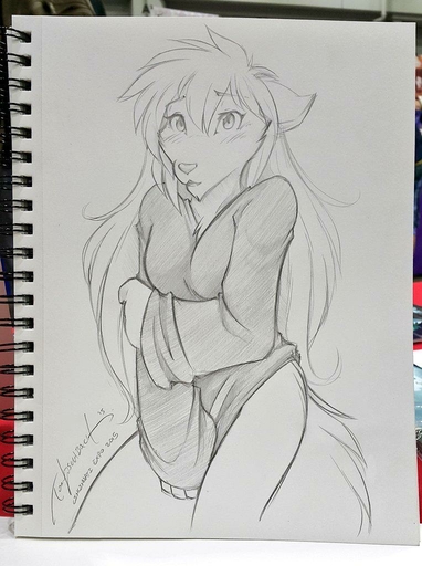 2015 anthro bottomless breasts canid canine canis clothed clothing conditional_dnp embarrassed female fur hair keidran long_hair mammal monochrome raine_silverlock scan shirt simple_background sketch solo tom_fischbach topwear traditional_media_(artwork) twokinds webcomic webcomic_character white_background wolf // 764x1024 // 113KB