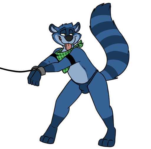 anthro bandanna biped black_nose blue_body blue_fur blue_tail bulge cheek_tuft clothed clothing cuff_(restraint) digital_media_(artwork) eyebrows facial_tuft flat_colors fur handcuffed handcuffs hi_res kerchief looking_away male mammal metal_cuffs partially_clothed procyonid raccoon restraints robbie_(rotten_robbie) rotten_robbie shackles simple_background smile solo standing thong tongue tongue_out tuft underwear white_background // 1287x1262 // 231.6KB