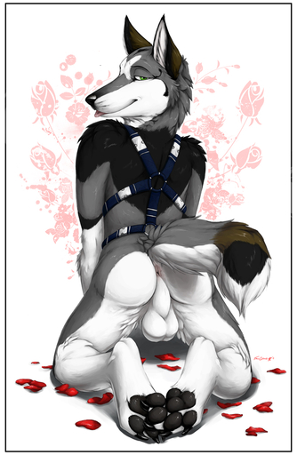 anthro anus backsack balls biped border butt canid canine canis feet_together flower genitals harness hindpaw kenova kneeling looking_at_viewer looking_back male mammal nude pawpads paws plant presenting presenting_hindquarters raised_tail simple_background solo tongue tongue_out truegrave9 white_border wolf // 700x1073 // 367.7KB