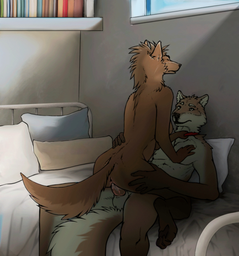 2019 2d_animation 5_fingers animated anthro anthro_on_anthro anthro_penetrated anthro_penetrating anthro_penetrating_anthro anus balls bed bedroom biped bodily_fluids bookshelf bouncing_balls breasts brown_body brown_fur butt canid canine canis cheek_tuft collar cowgirl_position detailed_background digital_drawing_(artwork) digital_media_(artwork) domestic_dog duo erection eyebrows eyes_closed facial_tuft female female_on_top female_penetrated fingers fluffy fluffy_tail frame_by_frame from_front_position fur furniture genital_fluids genitals hand_on_butt hand_on_chest hand_on_hip head_tuft humanoid_hands inside looking_at_another loop lying male malefemale male_on_bottom male_penetrating male_penetrating_female mammal mostly_nude nude on_back on_bed on_bottom on_top pawpads paws penetration penile penile_penetration penis penis_in_pussy pillow pussy pussy_juice sex short_playtime side_boob sterr three-quarter_view tuft vaginal vaginal_penetration white_body white_fur window // 934x1000 // 1.9MB