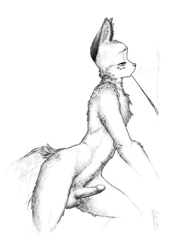 anthro balls canid canine cigarette erection fox fur greyscale male mammal monochrome nude penis simple_background smoke smoking sneakerfox solo white_background // 512x720 // 41.7KB