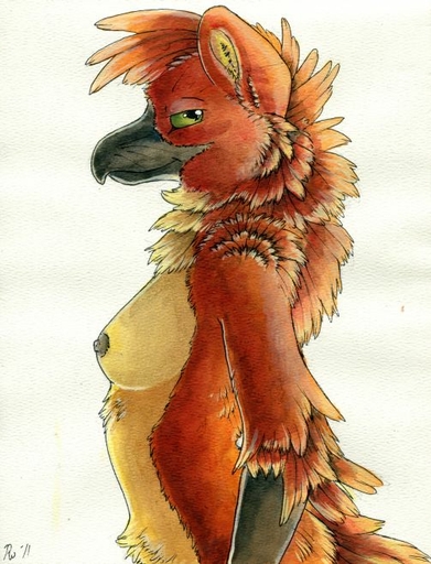 anthro avian beak breasts clothed clothing female gryphon mythological_avian mythology nipples non-mammal_breasts nude ruaidri side_view solo topless // 503x658 // 72KB