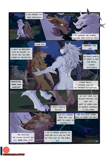 altair_(patto) animal_genitalia balls canid canine canis comic detailed_background digital_media_(artwork) english_text genitals hi_res male mammal night nude outside patto penis sheath standing text were werecanid werecanine werewolf wolf // 1052x1500 // 1.2MB