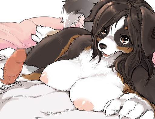 anthro bernese_mountain_dog big_breasts black_body black_fur black_hair black_nose blush breast_rest breasts brown_body brown_eyes brown_fur brown_hair canid canine canis censored claws digital_media_(artwork) domestic_dog duo erection faceless_character faceless_male female first_person_view fur genitals hair handjob kemono kikurage long_hair looking_at_viewer lying male malefemale mammal molosser mountain_dog multicolored_body multicolored_fur nipples nude on_side open_mouth penile penis sex shaded swiss_mountain_dog white_body white_fur // 1000x769 // 265.1KB