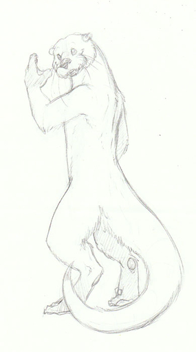 anthro biped conditional_dnp fur graphite_(artwork) greyscale hindpaw lutrine male mammal membrane_(anatomy) monochrome mustelid nude otterface paws pencil_(artwork) portrait pose sefeiren solo standing traditional_media_(artwork) webbed_hands whiskers // 389x700 // 40.5KB