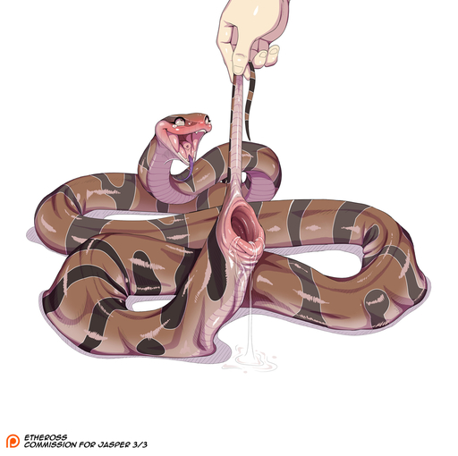 2019 ahegao animal_genitalia blush bodily_fluids cloaca digital_media_(artwork) disembodied_hand duo etheross eye_roll female female_focus feral forked_tongue gaping gaping_cloaca genitals humanoid_hands looking_pleasured patreon patreon_logo patreon_username reptile scalie simple_background snake solo_focus tears tongue white_background // 1023x1020 // 398.7KB