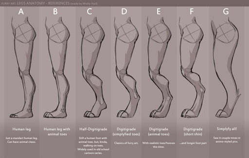 ! 2013 ambiguous_gender anatomy brown_background claws digitigrade english_text group hooves human humanoid mammal model_sheet nails side_view simple_background text toe_claws traditional_media_(artwork) unknown_species watermark wolfy-nail // 1500x953 // 218.5KB