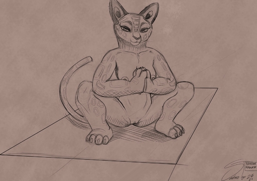 2021 anthro breasts crouching dreamworks felid female front_view full-length_portrait genitals hi_res kung_fu_panda mammal monochrome nipples nude pantherine portrait pussy sabrotiger sketch snow_leopard solo song_(kung_fu_panda) yoga // 2064x1457 // 255.2KB