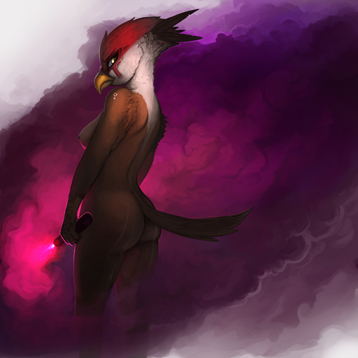 1:1 2016 anthro avian avian_(starbound) beak bird breasts brown_body brown_feathers butt digital_media_(artwork) digital_painting_(artwork) feathers female hi_res holding_object looking_at_viewer looking_back multicolored_body multicolored_feathers nipples non-mammal_breasts nude photonoko red_body red_feathers smoke solo standing starbound tail_feathers video_games white_body white_feathers // 2000x2000 // 874.1KB