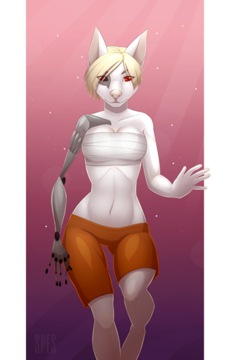 anthro bandage breasts canid canine cybernetics cyborg female hi_res looking_at_viewer machine mammal navel simple_background solo spefides wide_hips // 1000x1556 // 845KB