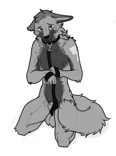 animal_genitalia anthro balls biped canid canine collar genitals greyscale kneeling leash looking_at_viewer male mammal monochrome nude ruaidri sheath shy solo // 586x786 // 161.9KB