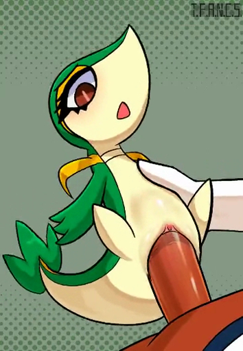 abdominal_bulge animated cinderace duo female fleshlight_position generation_5_pokemon generation_8_pokemon genitals humanoid_genitalia humanoid_penis living_condom loop male malefemale penis pokemon_(species) pussy snivy solo_focus sound t.f.a.n.c.s. vaginal video_games webm // 360x520, 4.9s // 1.3MB