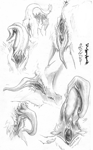 anthro anus clitoral_hood clitoris close-up female genitals hi_res kharnak medical monochrome prehensile_clitoral_hood pussy sergal solo urethra // 745x1200 // 219.0KB