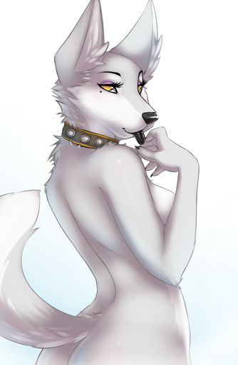 amber_eyes anthro black_nose black_tongue canid canine canis collar female finger_to_mouth looking_at_viewer looking_back mammal nnecgrau nude simple_background solo tongue tongue_out white_body wolf // 673x1033 // 317.4KB