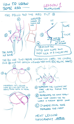 anatomy anus backsack balls butt digital_drawing_(artwork) digital_media_(artwork) doxy duo english_text female genitals how-to male meme not_furry reference_guide solo_focus text the_more_you_know // 561x942 // 224.6KB