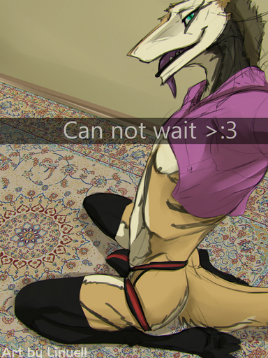 2018 3:4 anthro bulge butt camera_view clothed clothing digital_media_(artwork) english_text erection feet fur genitals hair hi_res hoodie jockstrap legwear linuell linuell_s'eleross looking_at_viewer male meme meme_clothing open_mouth penis selfie sergal simple_background smile snapchat solo stockings sweater text thigh_highs tongue topwear twitter_hoodie underwear // 960x1280 // 1.7MB