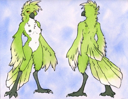 2013 anthro areola avian barely_visible_genitalia beak biped bird breasts feathered_wings feathers female genitals green_body green_feathers looking_at_viewer nipples non-mammal_breasts nude pussy ruaidri simple_background solo standing winged_arms wings yellow_eyes // 976x754 // 123.9KB
