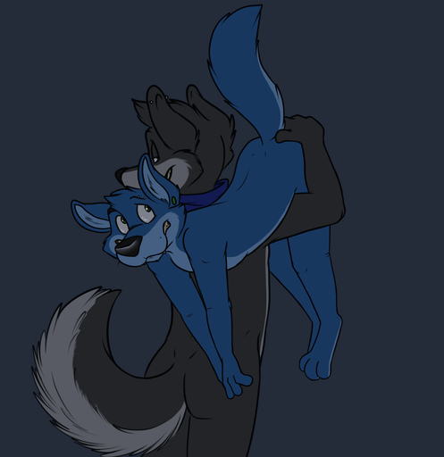 anthro bandanna blue_eyes butt canid canine canis carrying clothing digital_media_(artwork) digitigrade duo ear_piercing eyebrow_piercing facial_piercing flat_colors fluffy fluffy_tail fur grey_background grin helpless hi_res inner_ear_fluff kerchief male mammal nude piercing raised_tail robbie_(rotten_robbie) rotten_robbie shoulder_carry simple_background smile standing teeth tuft wolf worried // 1546x1594 // 348.4KB