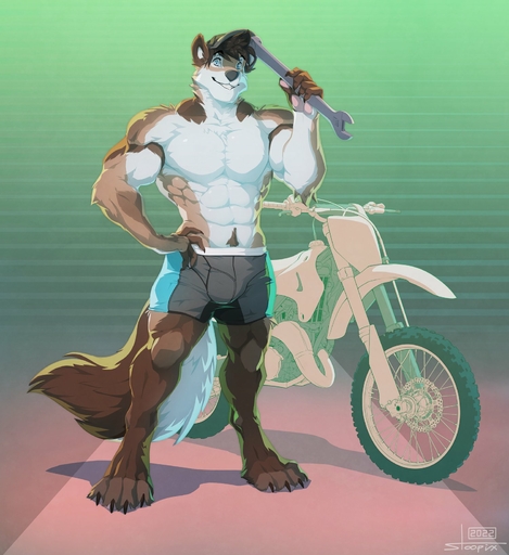 abs anthro bottomwear canid canine canis clothed clothing domestic_dog gradient_background hat headgear headwear hi_res husky looking_at_viewer male mammal motorcycle muscular nordic_sled_dog pattern_background paul_(majin764) shorts simple_background smile solo spitz stoopix teeth_showing tools topless vehicle wrench // 1501x1638 // 242.7KB