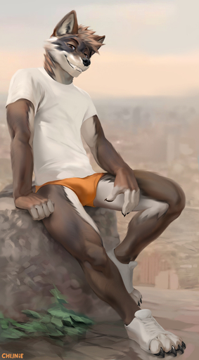 2020 anthro athletic athletic_anthro athletic_male bottomwear briefs bulge canid canine canis chunie claws clothed clothing detailed_background digital_media_(artwork) footwear furgonomics genital_outline hair hi_res looking_at_viewer male mammal orange_clothing orange_underwear penis_outline shirt shoes shorts sitting slim smile solo t-shirt topwear underwear wolf // 708x1280 // 315.5KB